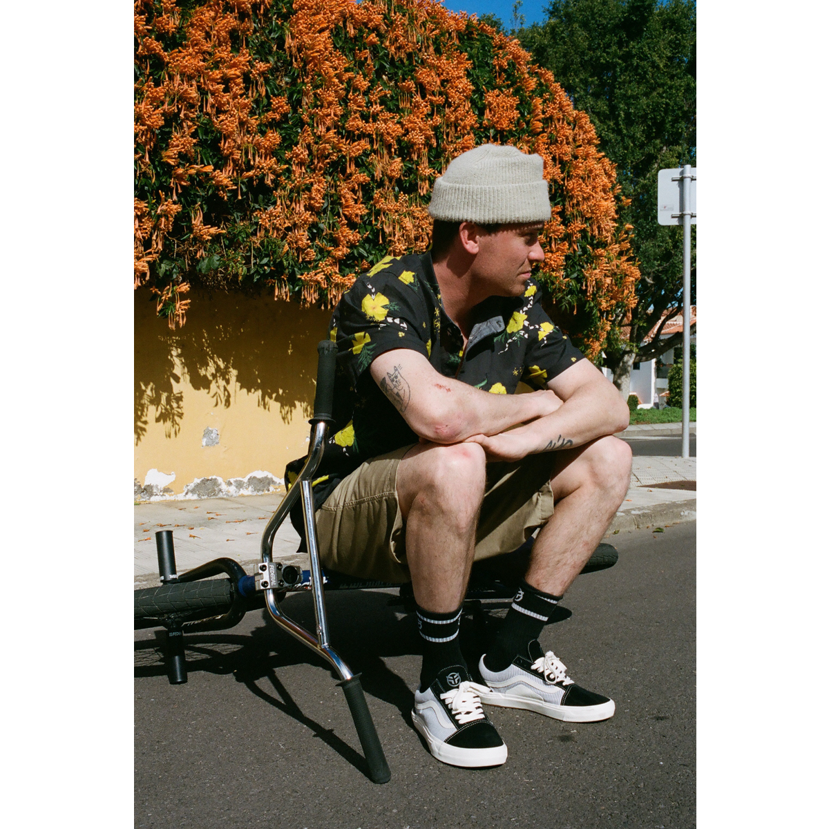 Vans old skool gorras top